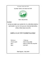 Đánh giá hiệu quả kinh tế của mô hình trồng bưởi diễn tại xã tân quang, thành phố sông công, tỉnh thái nguyên 
