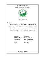 Đánh giá hiệu quả kinh tế của cây thảo quả tại xã tân nam, huyện quang bình, tỉnh hà giang 