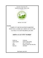 Nghiên cứu một số giải pháp marketing nhằm nâng cao hiệu quả trong sản xuất chè tại công ty CP chè thái bình lạng sơn 