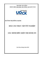 Báo cáo tốt nghiệp XÁC MINH ĐIỀU KIỆN THI HÀNH ÁN (luật dân sự)