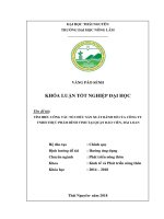 Tìm hiểu công tác tổ chức sản xuất bánh mì của công ty trách nhiệm hữu hạn thực phẩm bình vinh tại quận đào viên, đài loan 