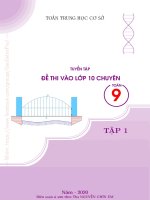 Tuyển tập đề thi vào lớp 10 chuyên môn toán 