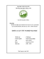 Đánh giá hiệu quả kinh tế sản xuất cây cam sành tại xã khánh hòa, huyện lục yên, tỉnh yên bái 