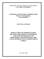 Ứng dụng các kỹ thuật lên men, xử lý nhiệt và nano trong chế biến và nâng cao giá trị các chất có hoạt tính sinh học trong tỏi tt tiếng anh 