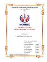 BÁO CÁO CUỐI KỲ NỘP THẦY ĐOÀN VĂN ĐỨC, TAM ĐOẠN LUẬN ĐƠN