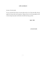 Nghiên cứu giải pháp hợp lý xử lý thấm qua nền và thân đập đất_unprotected