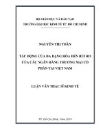 Tác động của đa dạng hóa đến rủi ro của các ngân hàng thương mại cổ phần tại việt nam 