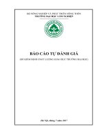 BÁO CÁO TỰ ĐÁNH GIÁ (ĐỂ KIỂM ĐỊNH CHẤT LƯỢNG GIÁO DỤC TRƯỜNG ĐẠI HỌC)