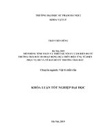 Mô phỏng tính toán và thiết kế tối ưu cảm biến đo từ trường trái đất 3d hoạt động dựa trên hiệu ứng từ   điện phục vụ đo và vẽ bản đồ từ trường trái đất (KLTN k41) 