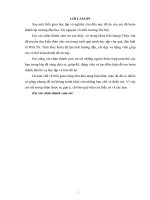 Nghiên cứu xây dựng bản đồ cảnh báo rủi ro do lũ, ngập lụt hạ lưu vực sông cả 