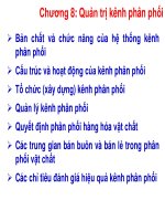 Bài giảng môn Quản trị marketing: Chương 8 – Nguyễn Thị Phươg Dung