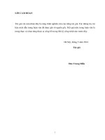 Nghiên cứu giải pháp đắp áp trúc mở rộng mặt đê phục vụ giao thông_unprotected