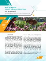 Hệ giá trị bền vững cho phát triển nông thôn Việt Nam