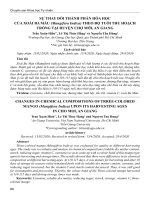 Sự thay đổi thành phần hóa học của xoài Ba Màu (Mangifera Indica) theo độ tuổi thu hoạch trồng tại huyện Chợ Mới, An Giang