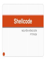Bài giảng An toàn Hệ điều hành: Shellcode - Nguyễn Hồng Sơn