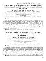 Chế tạo vật liệu Hydrogel tổ hợp của Nanocellulose và Alginate hướng đến ứng dụng trong xử lý nước thải dệt nhuộm