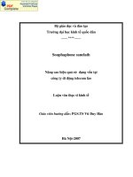 Luận văn Thạc sĩ Kinh tế: Nâng cao hiệu quả sử dụng vốn công ty di động Telecom Lào