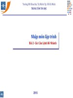 Bài giảng Nhập môn lập trình: Bài 2 - Đại học Khoa học Tự nhiên TP.HCM