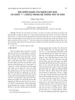 Đặc điểm nghĩa của nhóm chữ Hán có chứa “竹” (Trúc) trong hệ thống văn tự Hán