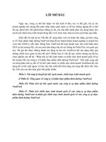 Phân tích lợi thế cạnh tranh và chiến lược kinh doanh quốc tế tại thị trường mỹ của công ty cổ phần thực phẩm dinh dưỡng nutifood 