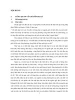 chỉ dẫn địa lý trong shtt và một số case study về chỉ dẫn địa lý 