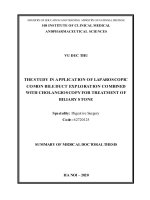 Nghiên cứu ứng dụng phẫu thuật nội soi kết hợp nội soi đường mật điều trị sỏi đường mật tt tiếng anh 