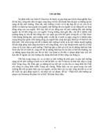 Phân tích ảnh hưởng sai phạm của formosa lên phúc lợi xã hội 