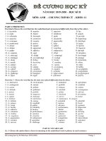 Đề cương HK2 môn Tiếng Anh 11 năm 2019-2020 - THPT Xuân Đỉnh