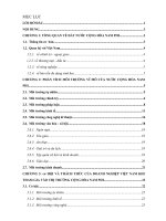 Phân tích môi trường vĩ mô của nước cộng hòa nam phi