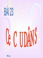 Bài giảng Địa lí lớp 10 - Bài 23: Cơ cấu dân số