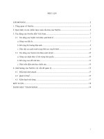 phân tích chiến lược toàn cầu hóa của dich vụ truyền hình trực tuyến netflix và tác động đến việt  nam