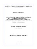 Nghiên cứu tác dụng gây tê tủy sống   ngoài màng cứng kết hợp an thần bằng tci propofol dưới hướng dẫn của điện não số hóa trong phẫu thuật bụng dưới ở người cao tuổi tt tiếng anh 