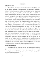 Nghiên cứu hiện tượng chêm xen từ ngữ tiếng anh trong giao tiếp tiếng việt của sinh viên đại học đà nẵng 