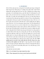 Kinh nghiệm quản lý của một số nước nhằm đảm bảo tính bền vững của nợ công và bài học kinh nghiệm cho việt nam 