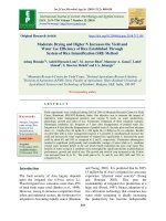 Moderate drying and higher N increases the yield and water use efficiency of rice established through system of rice intensification (SRI) method