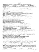 17  gv trịnh minh hiệp 2019   đề số 17 