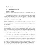 nhãn hiệu màu sắc nhìn từ vụ tranh chấp giữa christian louboutin và ysl, liên hệ với việc bảo hộ nhãn hiệu màu sắc ở việt nam trong bối cảnh gia nhập tpp 