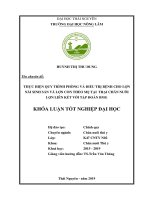 Thực hiện quy trình phòng và điều trị bệnh cho lợn nái sinh sản và lợn con theo mẹ tại trại chăn nuôi lợn liên kết với tập đoàn BMG 