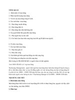 tiểu luận quản lý chuỗi cung ứng