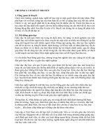 tiểu luận kinh tế lượng các yếu tố ảnh hưởng đến quyết định chọn trường đại học của sinh viên 