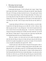 tiểu luận quản trị và KD quốc tế phân tích môi trường vĩ mô của canada, cơ hội và thách thức khi thâm nhập thị trường canada 