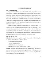 tiểu luận khởi sự kinh doanh và quản trị SME kinh doanh dịch vụ training online và tư vấn dinh dưỡng 