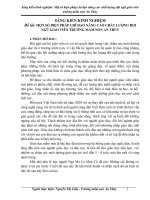 Sáng kiến kinh nghiệm: Một số biện pháp chỉ đạo nâng cao chất lượng đội ngũ giáo viên trường mầm non An Thủy