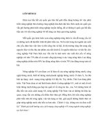 tiểu luận phân tích chi phí lợi ích đánh giá ảnh hưởng của cách mạng công nghiệp 4 0 trong ngành nông nghiệp tại việt nam 