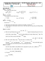 TOAN 11 HKII SAO VIET DEDA   thao thu 