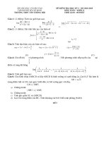 TOAN 11 DE DA   xuanhai bui 