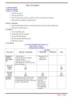 ĐỀ CƯƠNG ôn tập THI học kỳ 2 TOÁN 11 các DẠNG   có đáp án 