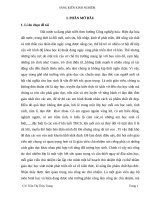 Sáng kiến kinh nghiệm: Một số phương pháp giáo dục học sinh cá biệt