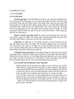 tiểu luận quản trị tác nghiệp quản trị chuỗi cung ứng của apple 