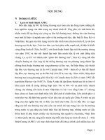 tiểu luận quan hệ kinh tế quốc tế tác động của quá trình hội nhập APEC đối với sự phát triển của việt nam và vấn đề biển đông 